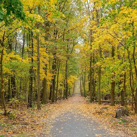 ヴィラ Idyllisches, Neu Renoviertes Haus Mit Steg Am