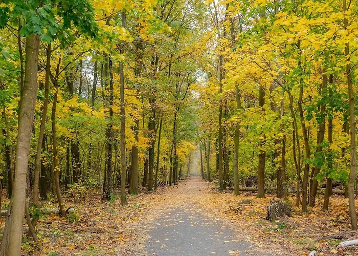 ヴィラ Idyllisches, Neu Renoviertes Haus Mit Steg Am